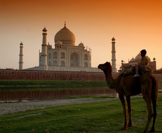 North India tours