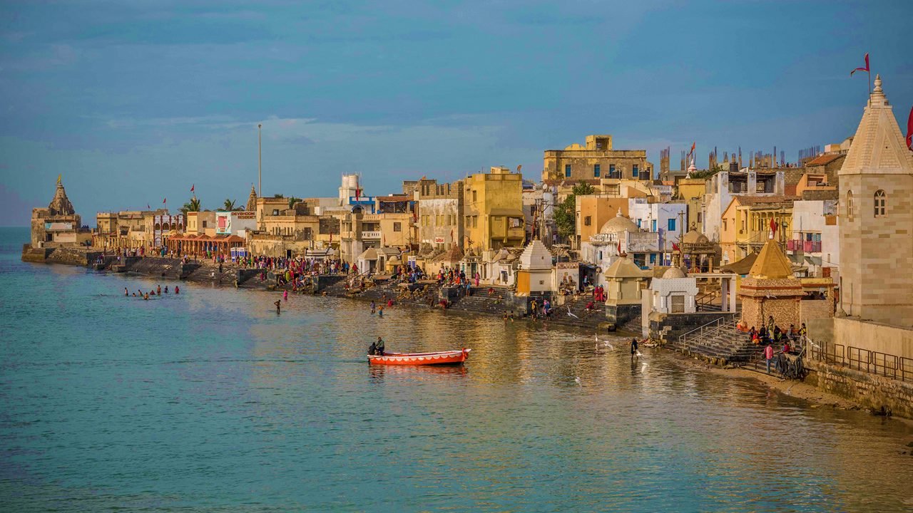 Wildlife & Beaches Tour of Gujarat